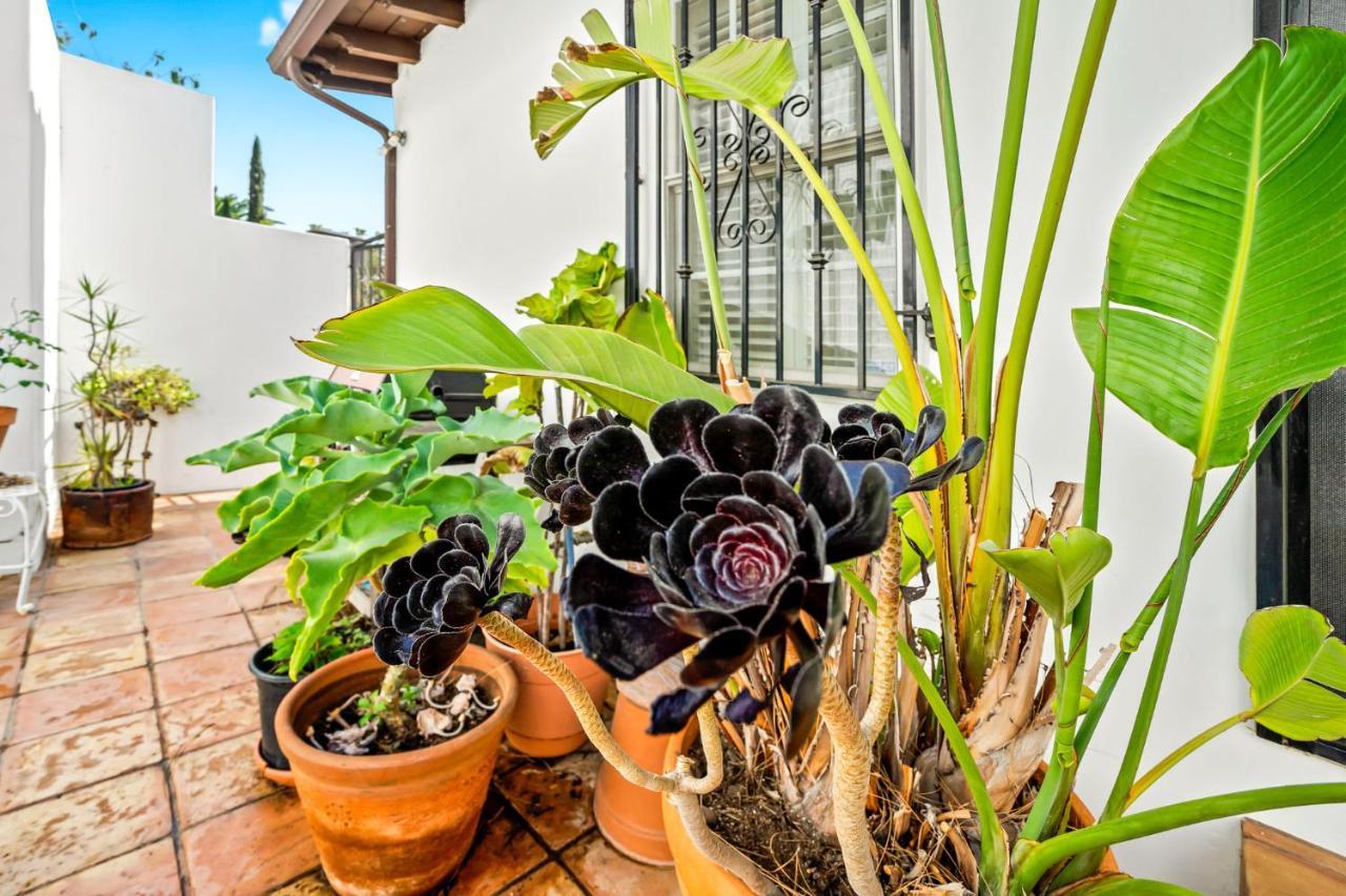 Hollywood Hills Homestay 로스앤젤레스 외부 사진